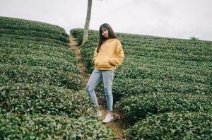 Mẫu theme Tour Đà Nẵng