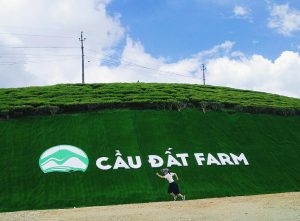 Mẫu theme Tour Đà Nẵng