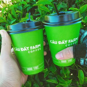 Mẫu theme Tour Đà Nẵng