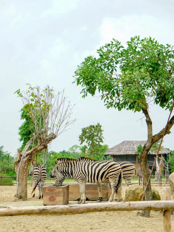 Mẫu theme Tour Đà Nẵng