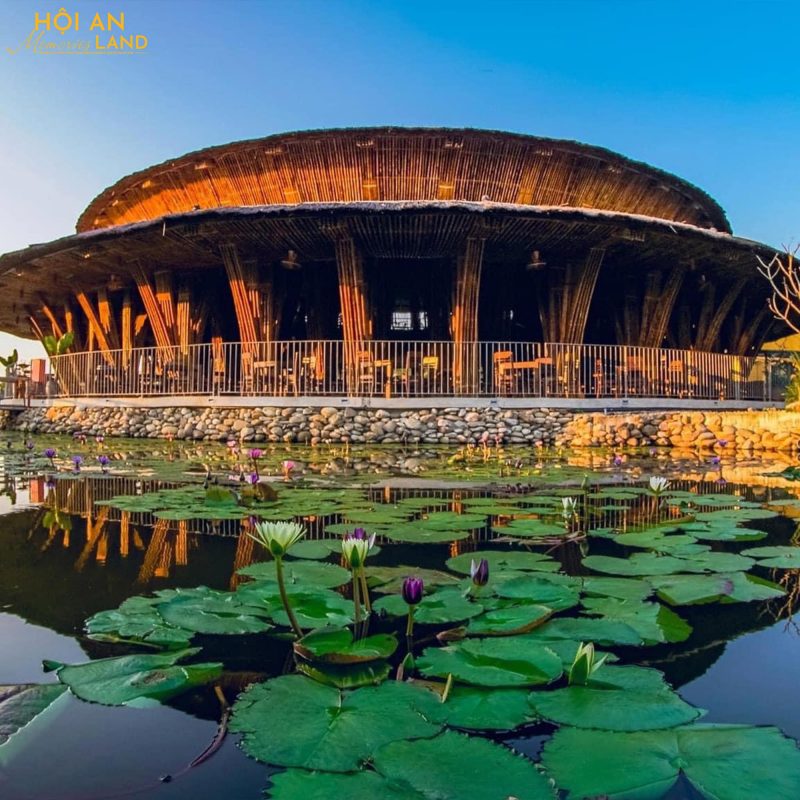 Mẫu theme Tour Đà Nẵng