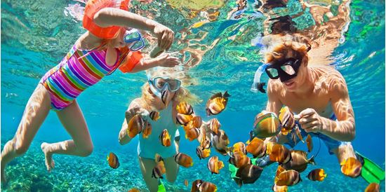 Mẫu theme Tour Đà Nẵng