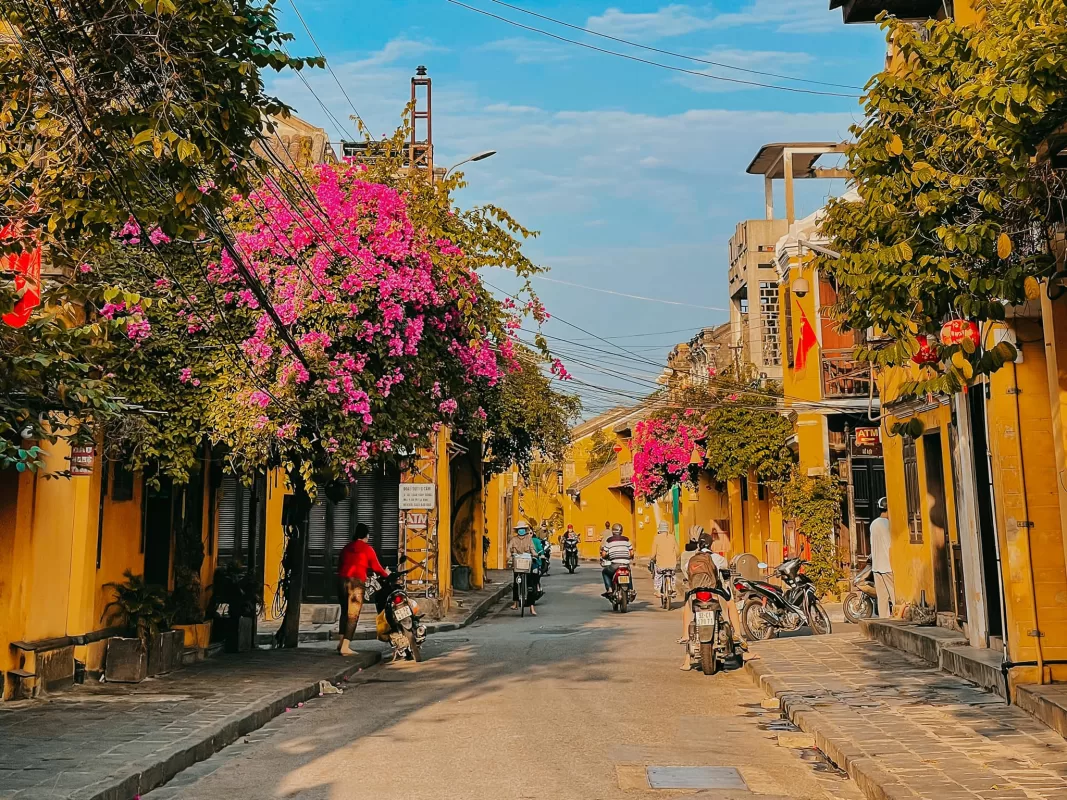 Mẫu theme Tour Đà Nẵng